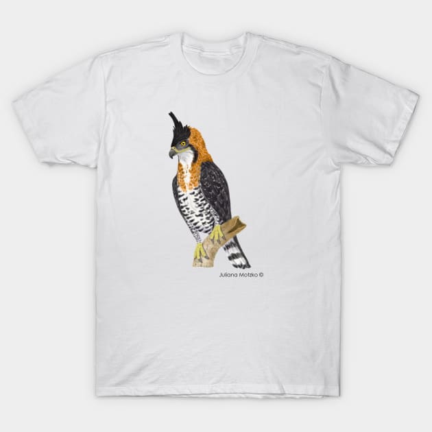 Ornate Hawk Eagle Bird T-Shirt by julianamotzko